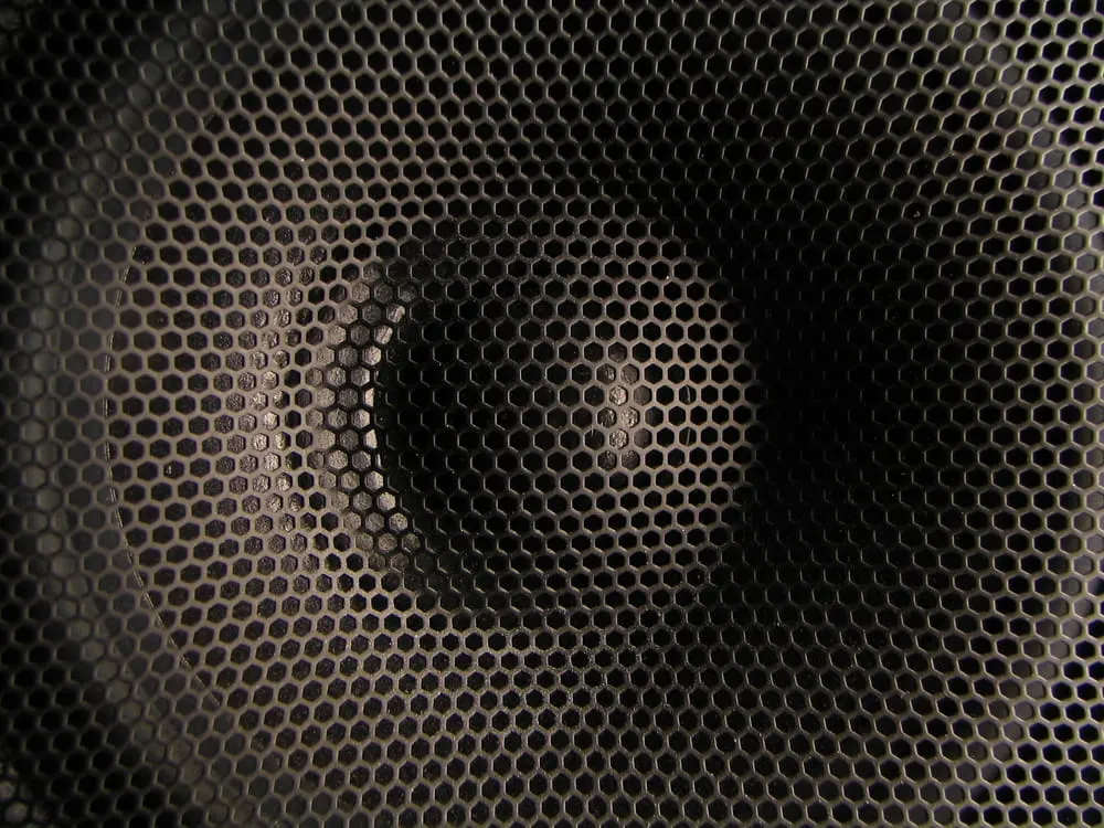Speaker Front View
