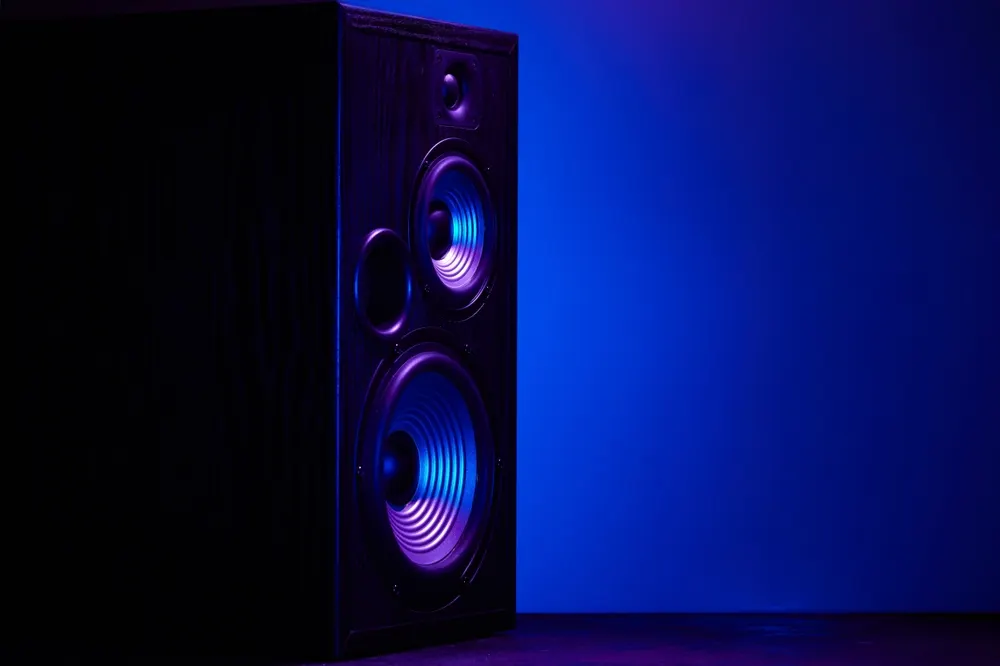 Speaker box black